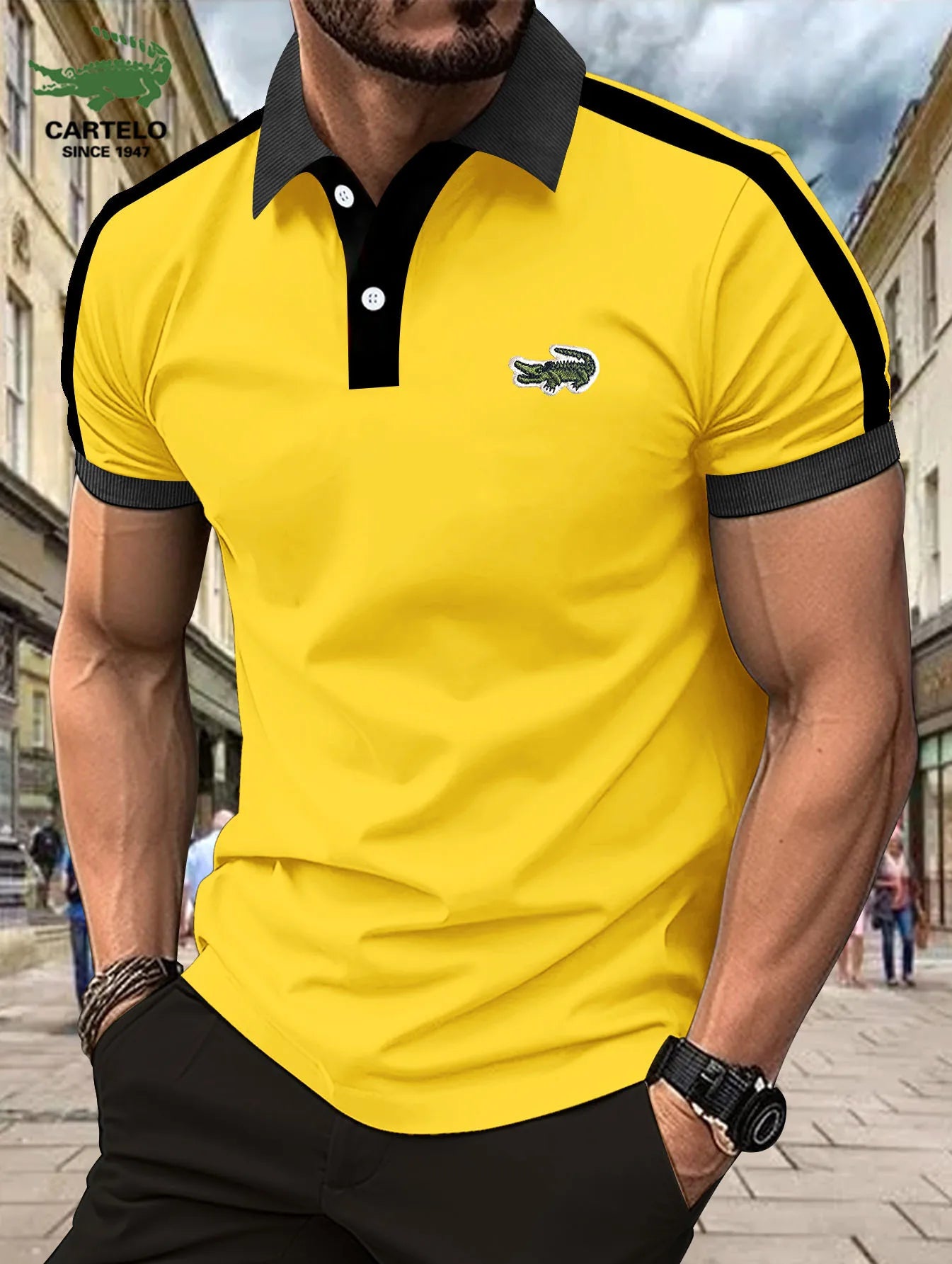 Spring and Summer Street New Motorcycle Breathable and Sweat-absorbing Leisure Polo Shirt Business Elegant Men's Short Sleeve Vedee